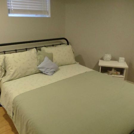 אוטווה Fantastic And Modern Downtown 1-Bed Basement Apt., Parking Wi-Fi And Netflix Included מראה חיצוני תמונה