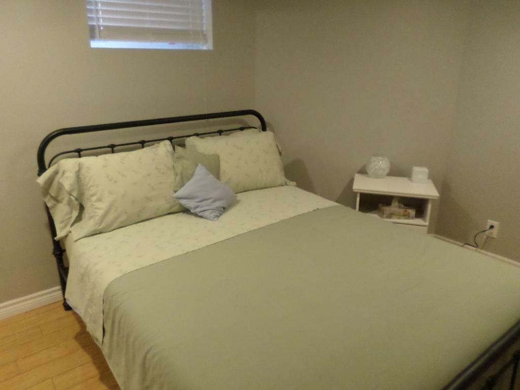 אוטווה Fantastic And Modern Downtown 1-Bed Basement Apt., Parking Wi-Fi And Netflix Included מראה חיצוני תמונה